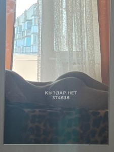 Жиголо Караганды Парень№374636 Asylkhan Фотография №3787423