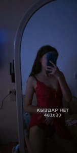 Проститутка Астаны Анкета №481623 Фотография №3637127